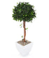 Artificial 3ft 5" Danielle Weeping Fig Tree