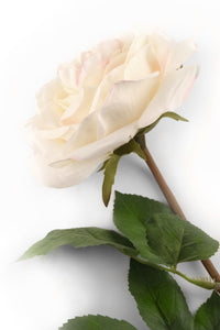 Artificial 92cm Single Stem Fully Open Ivory and Pink Tipped Rose - Closer2Nature