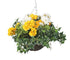 Artificial Yellow and White Geranium Display in a 10" Round Willow Hanging Basket