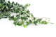 Artificial 57cm Variegated Ivy Plug Plant - Closer2Nature