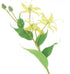 Artificial 102cm Single Stem Yellow Flame Lily