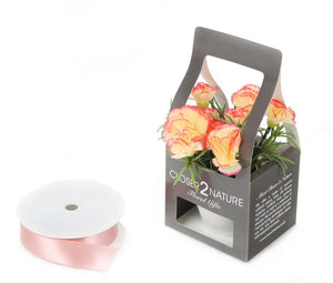 Artificial 15cm Peach Carnation Plant with Gift Box - Closer2Nature