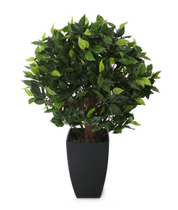 Artificial 2ft Danielle Weeping Fig Tree - Closer2Nature