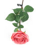 Artificial 72cm Single Stem Fully Open Coral Pink Rose - Closer2Nature