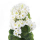 Artificial 1ft 1" White Zonal Geranium Plant - Closer2Nature