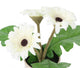 Artificial 21cm Cream Gerbera Plant - Closer2Nature