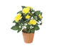 Artificial 26cm Yellow Rose Plug Plant - Closer2Nature